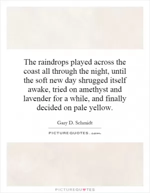 The raindrops played across the coast all through the night, until the soft new day shrugged itself awake, tried on amethyst and lavender for a while, and finally decided on pale yellow Picture Quote #1