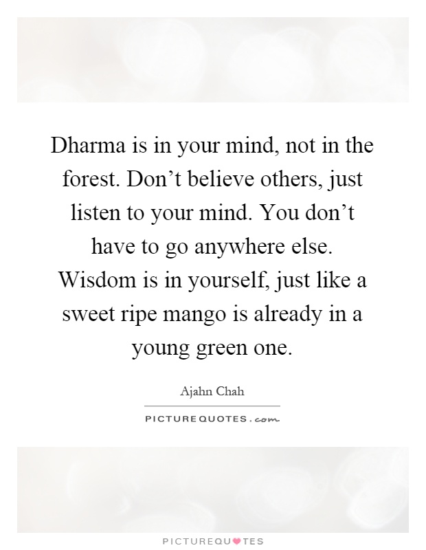 Dharma is in your mind, not in the forest. Don't believe others, just listen to your mind. You don't have to go anywhere else. Wisdom is in yourself, just like a sweet ripe mango is already in a young green one Picture Quote #1