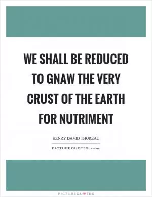 We shall be reduced to gnaw the very crust of the earth for nutriment Picture Quote #1