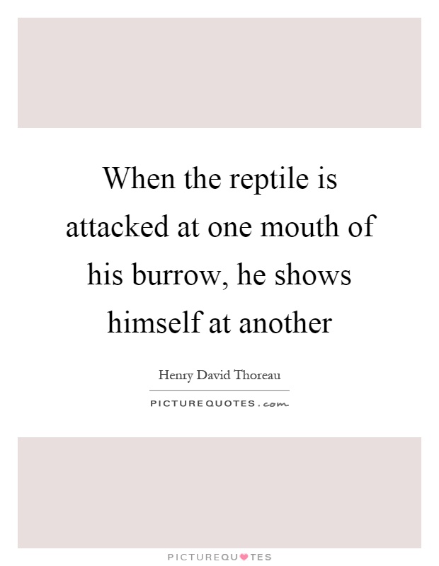 When the reptile is attacked at one mouth of his burrow, he shows himself at another Picture Quote #1