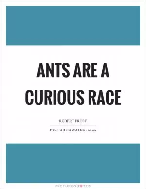 Ants are a curious race Picture Quote #1