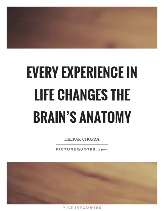 Every experience in life changes the brain's anatomy Picture Quote #1