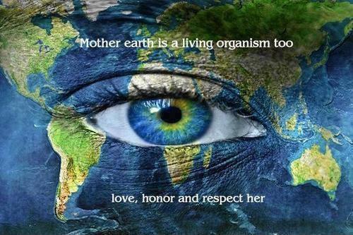 Mother Earth is a living organism too. Love, honor and respect her Picture Quote #1