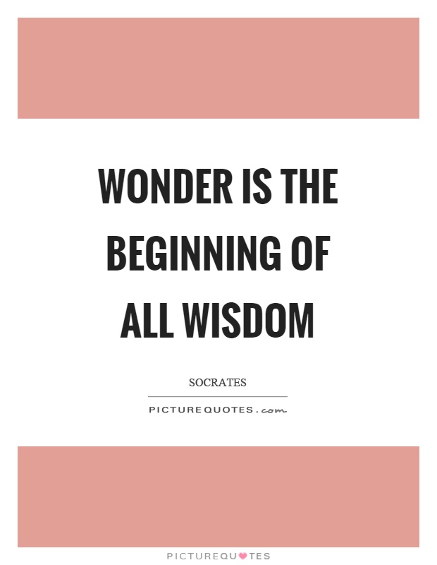 Wonder is the beginning of all wisdom Picture Quote #1