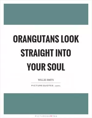 Orangutans look straight into your soul Picture Quote #1