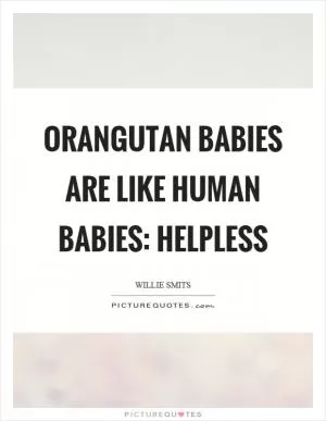 Orangutan babies are like human babies: helpless Picture Quote #1