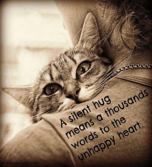 A silent hug means a thousand words to the unhappy heart Picture Quote #1