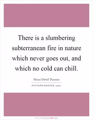 There is a slumbering subterranean fire in nature which never goes out, and which no cold can chill Picture Quote #1