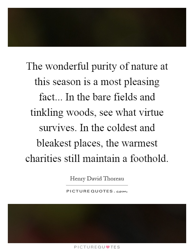 The wonderful purity of nature at this season is a most pleasing fact... In the bare fields and tinkling woods, see what virtue survives. In the coldest and bleakest places, the warmest charities still maintain a foothold Picture Quote #1