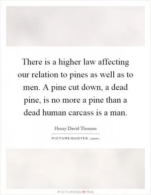 There is a higher law affecting our relation to pines as well as to men. A pine cut down, a dead pine, is no more a pine than a dead human carcass is a man Picture Quote #1