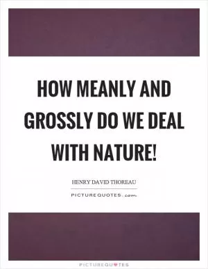 How meanly and grossly do we deal with nature! Picture Quote #1