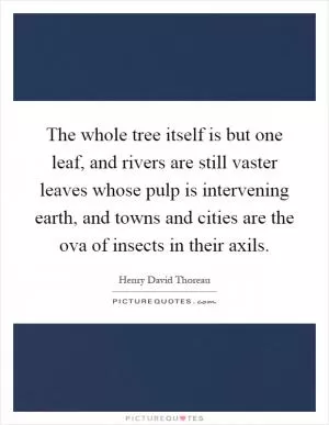 The whole tree itself is but one leaf, and rivers are still vaster leaves whose pulp is intervening earth, and towns and cities are the ova of insects in their axils Picture Quote #1