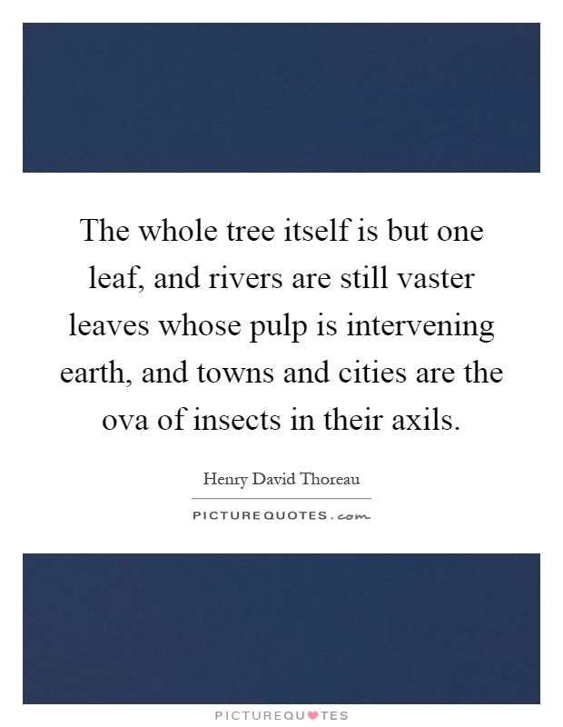 The whole tree itself is but one leaf, and rivers are still vaster leaves whose pulp is intervening earth, and towns and cities are the ova of insects in their axils Picture Quote #1
