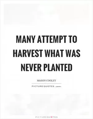 Many attempt to harvest what was never planted Picture Quote #1