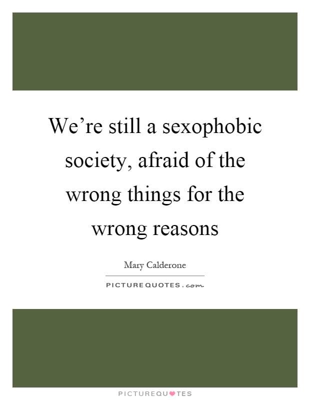 We're still a sexophobic society, afraid of the wrong things for the wrong reasons Picture Quote #1