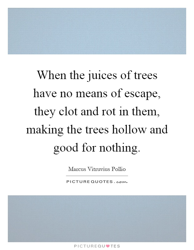 When the juices of trees have no means of escape, they clot and rot in them, making the trees hollow and good for nothing Picture Quote #1