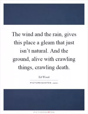 The wind and the rain, gives this place a gleam that just isn’t natural. And the ground, alive with crawling things, crawling death Picture Quote #1