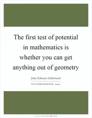 The first test of potential in mathematics is whether you can get anything out of geometry Picture Quote #1