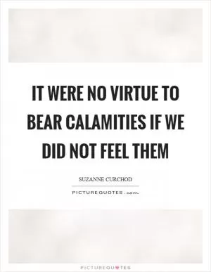 It were no virtue to bear calamities if we did not feel them Picture Quote #1