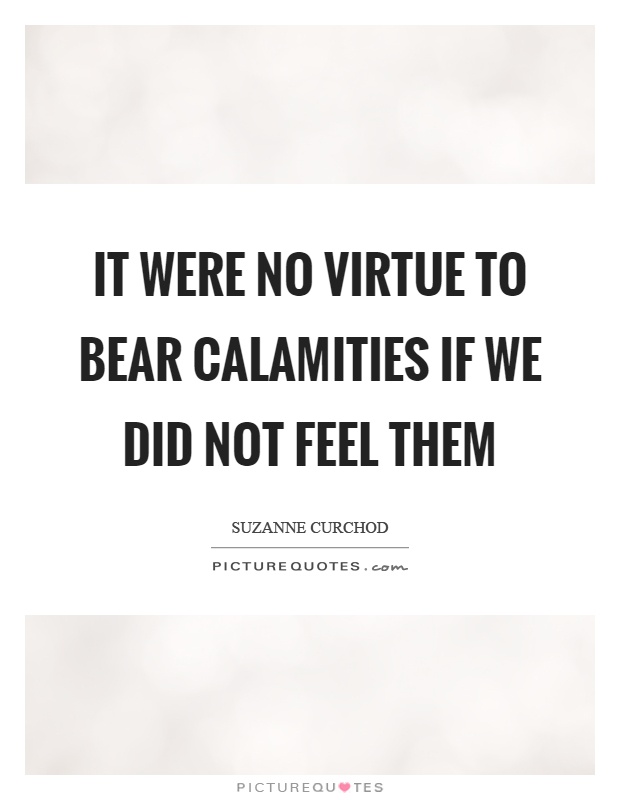 It were no virtue to bear calamities if we did not feel them Picture Quote #1