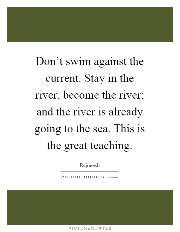 Don't swim against the current. Stay in the river, become the river; and the river is already going to the sea. This is the great teaching Picture Quote #1