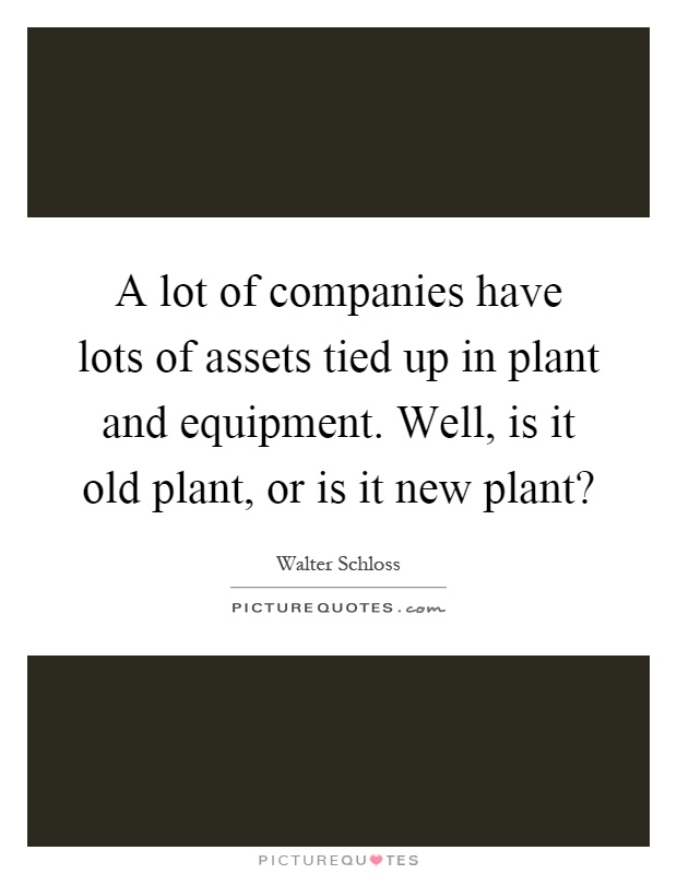 A lot of companies have lots of assets tied up in plant and equipment. Well, is it old plant, or is it new plant? Picture Quote #1