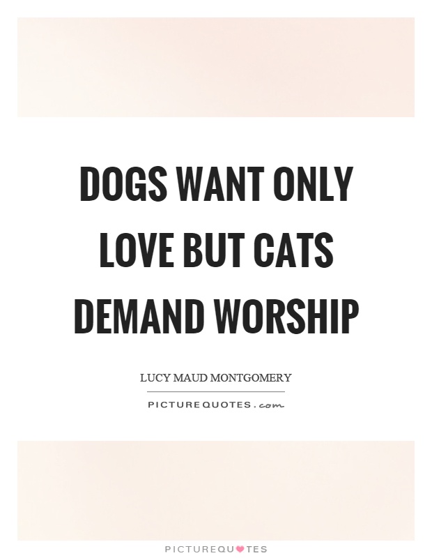 Dogs want only love but cats demand worship Picture Quote #1