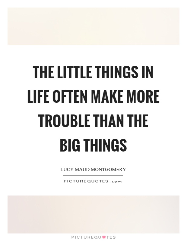 The little things in life often make more trouble than the big things Picture Quote #1