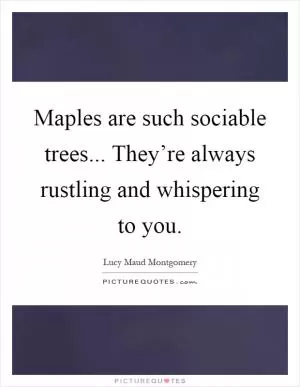 Maples are such sociable trees... They’re always rustling and whispering to you Picture Quote #1