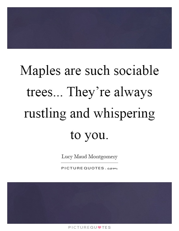 Maples are such sociable trees... They're always rustling and whispering to you Picture Quote #1