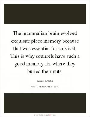 The mammalian brain evolved exquisite place memory because that was essential for survival. This is why squirrels have such a good memory for where they buried their nuts Picture Quote #1