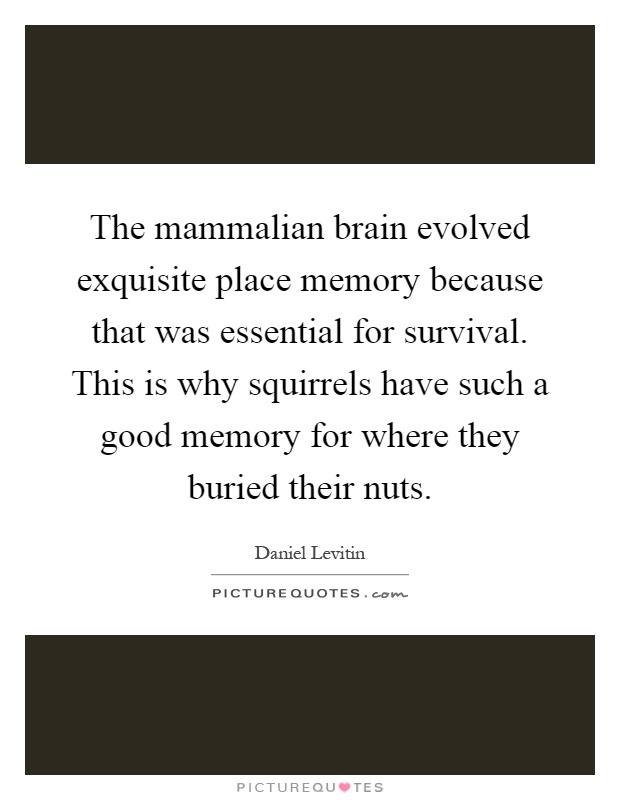 The mammalian brain evolved exquisite place memory because that was essential for survival. This is why squirrels have such a good memory for where they buried their nuts Picture Quote #1