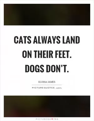 Cats always land on their feet. Dogs don’t Picture Quote #1