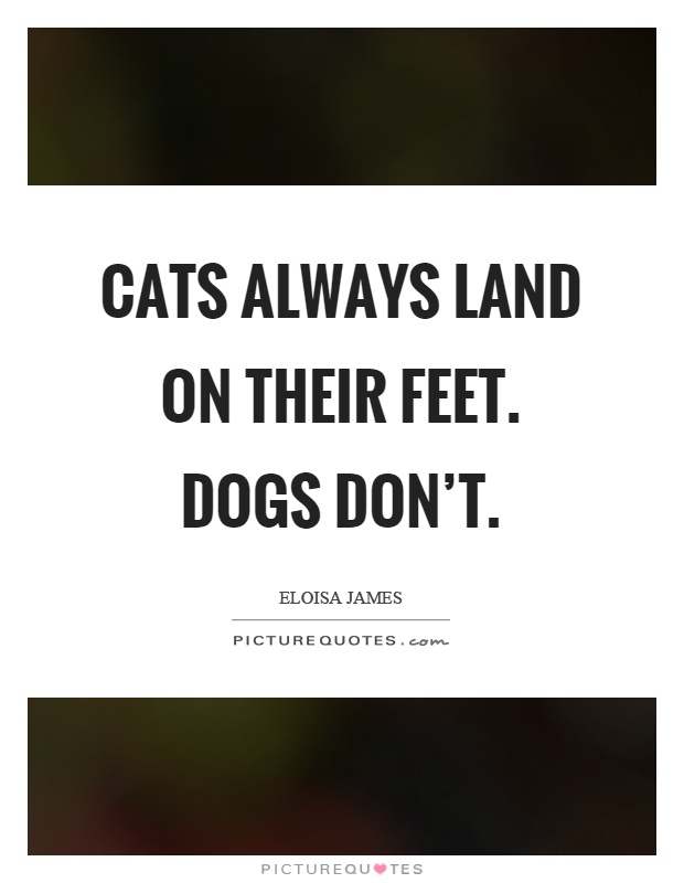 Cats always land on their feet. Dogs don't Picture Quote #1