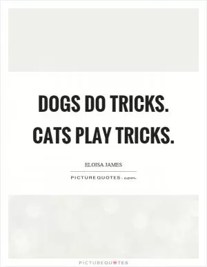 Dogs do tricks. Cats play tricks Picture Quote #1