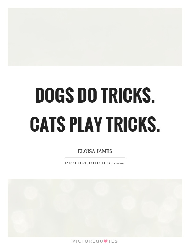 Dogs do tricks. Cats play tricks Picture Quote #1