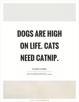 Dogs are high on life. Cats need catnip Picture Quote #1