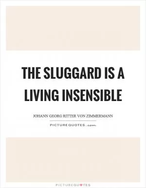 The sluggard is a living insensible Picture Quote #1