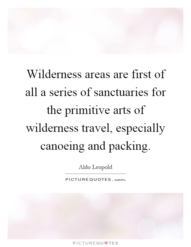 Wilderness areas are first of all a series of sanctuaries for the primitive arts of wilderness travel, especially canoeing and packing Picture Quote #1