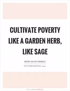 Cultivate poverty like a garden herb, like sage Picture Quote #1
