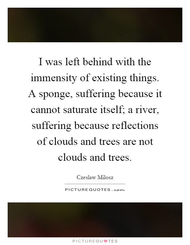 I was left behind with the immensity of existing things. A sponge, suffering because it cannot saturate itself; a river, suffering because reflections of clouds and trees are not clouds and trees Picture Quote #1