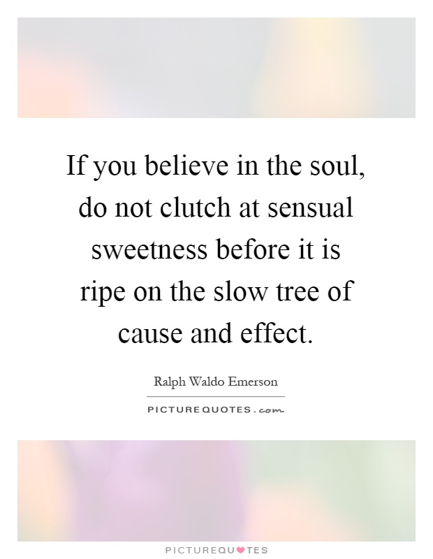If you believe in the soul, do not clutch at sensual sweetness before it is ripe on the slow tree of cause and effect Picture Quote #1