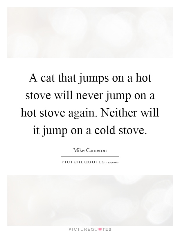 A cat that jumps on a hot stove will never jump on a hot stove again. Neither will it jump on a cold stove Picture Quote #1