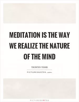 Meditation is the way we realize the nature of the mind Picture Quote #1