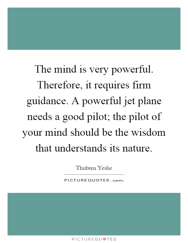 The mind is very powerful. Therefore, it requires firm guidance. A powerful jet plane needs a good pilot; the pilot of your mind should be the wisdom that understands its nature Picture Quote #1