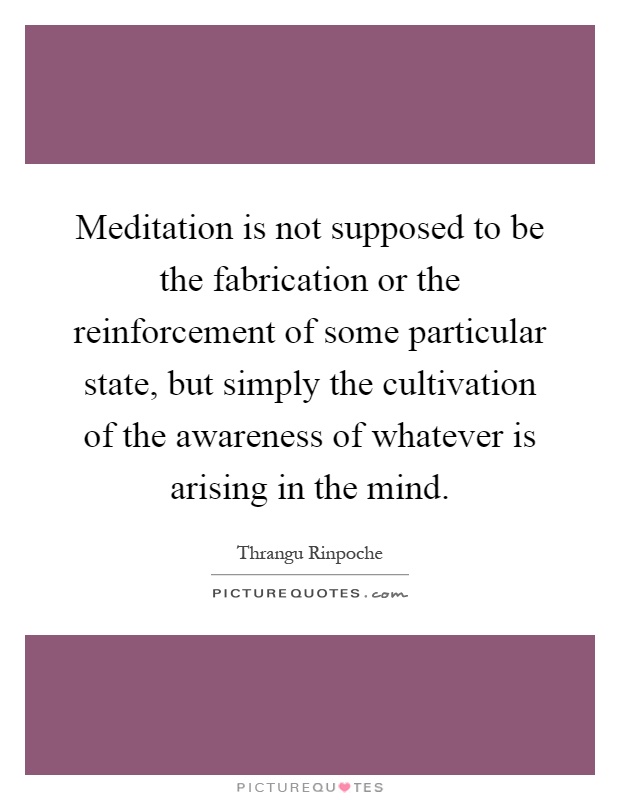 Meditation is not supposed to be the fabrication or the reinforcement of some particular state, but simply the cultivation of the awareness of whatever is arising in the mind Picture Quote #1