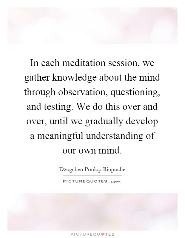 In each meditation session, we gather knowledge about the mind through observation, questioning, and testing. We do this over and over, until we gradually develop a meaningful understanding of our own mind Picture Quote #1