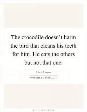 The crocodile doesn’t harm the bird that cleans his teeth for him. He eats the others but not that one Picture Quote #1