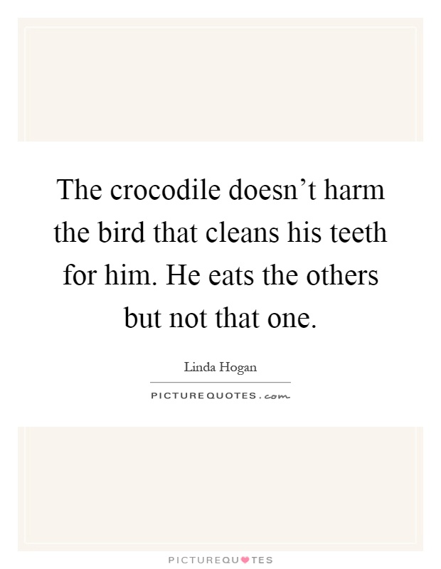 The crocodile doesn't harm the bird that cleans his teeth for him. He eats the others but not that one Picture Quote #1
