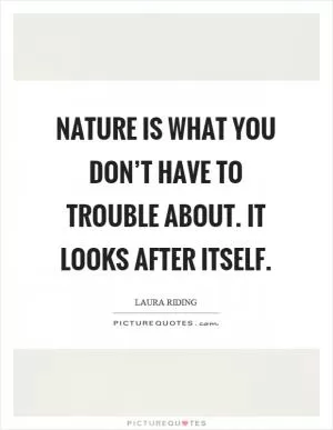 Nature is what you don’t have to trouble about. It looks after itself Picture Quote #1